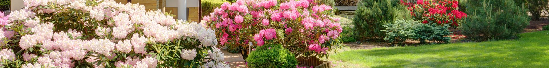 Will a landscaper damage my neighbor’s property?