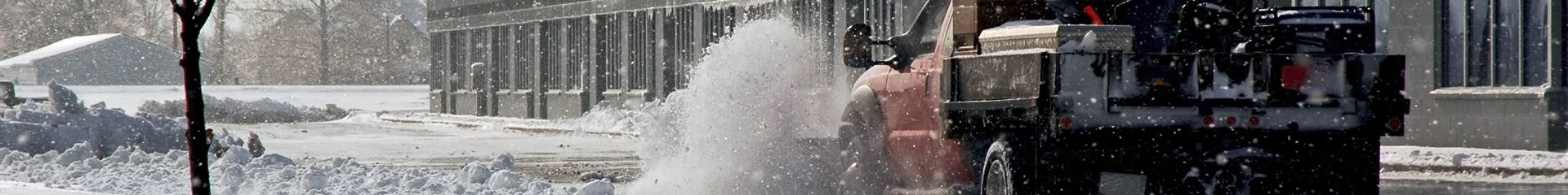 Should I have spent more for better quality from a landscape contractor?