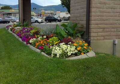 When should I fertilize from a landscape company?