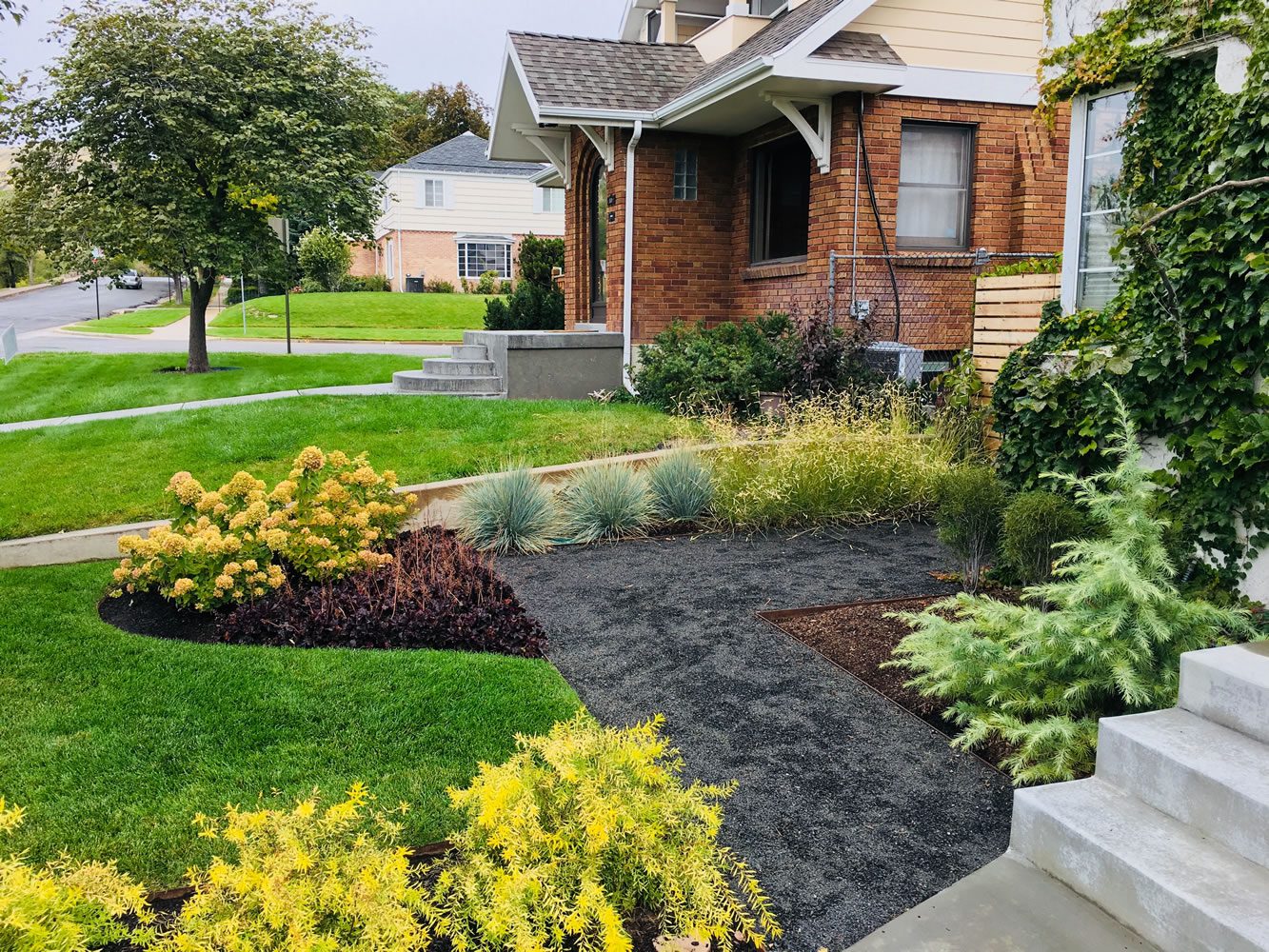 Am I watering too much or too little?