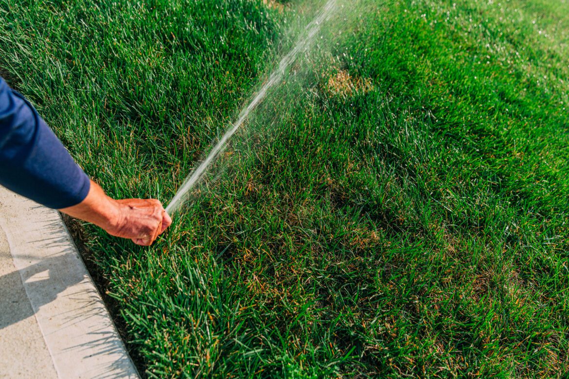What if I hate the results after the landscape contractor finishes?