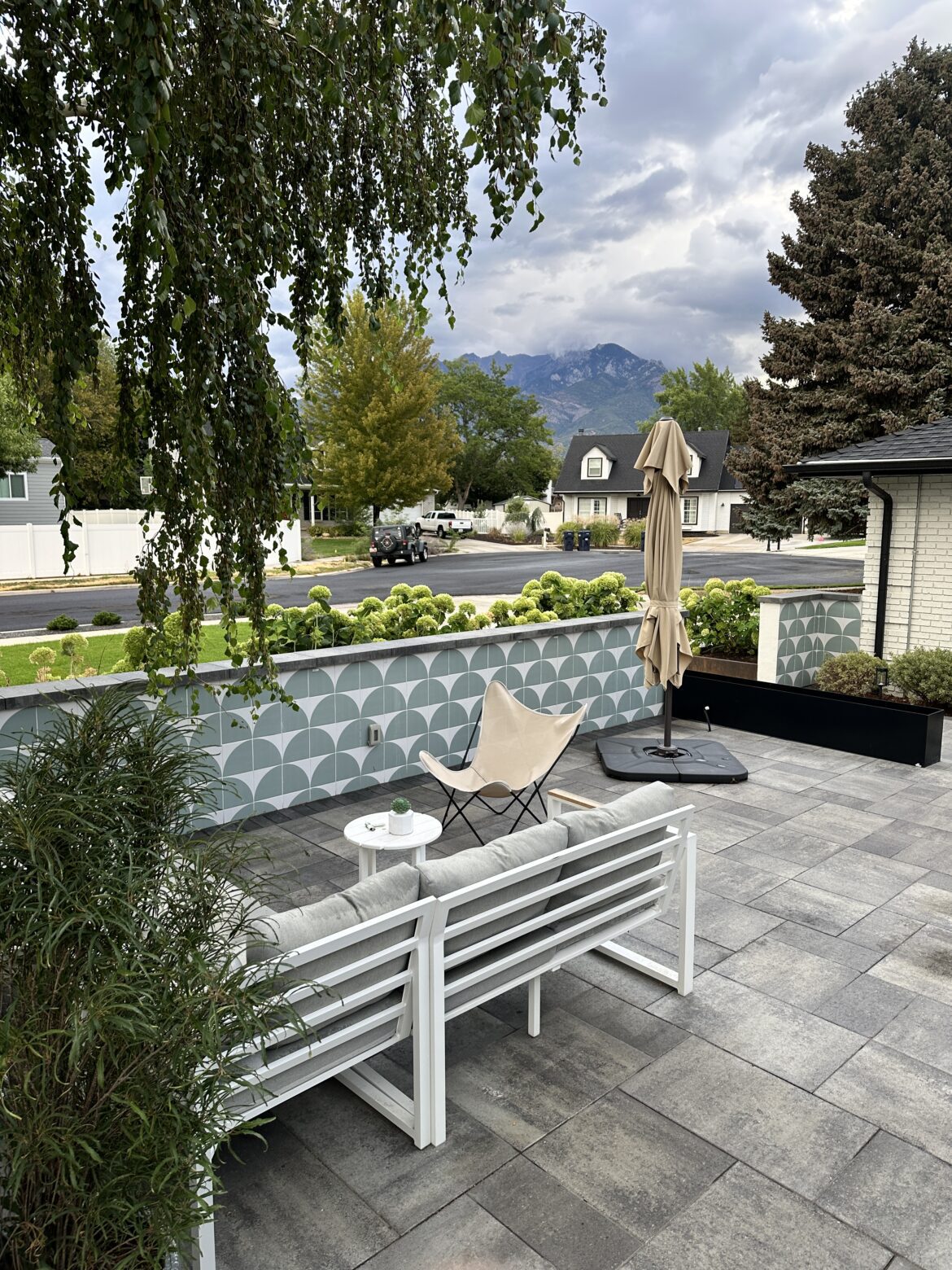 Will plants from a landscaping company actually survive?
