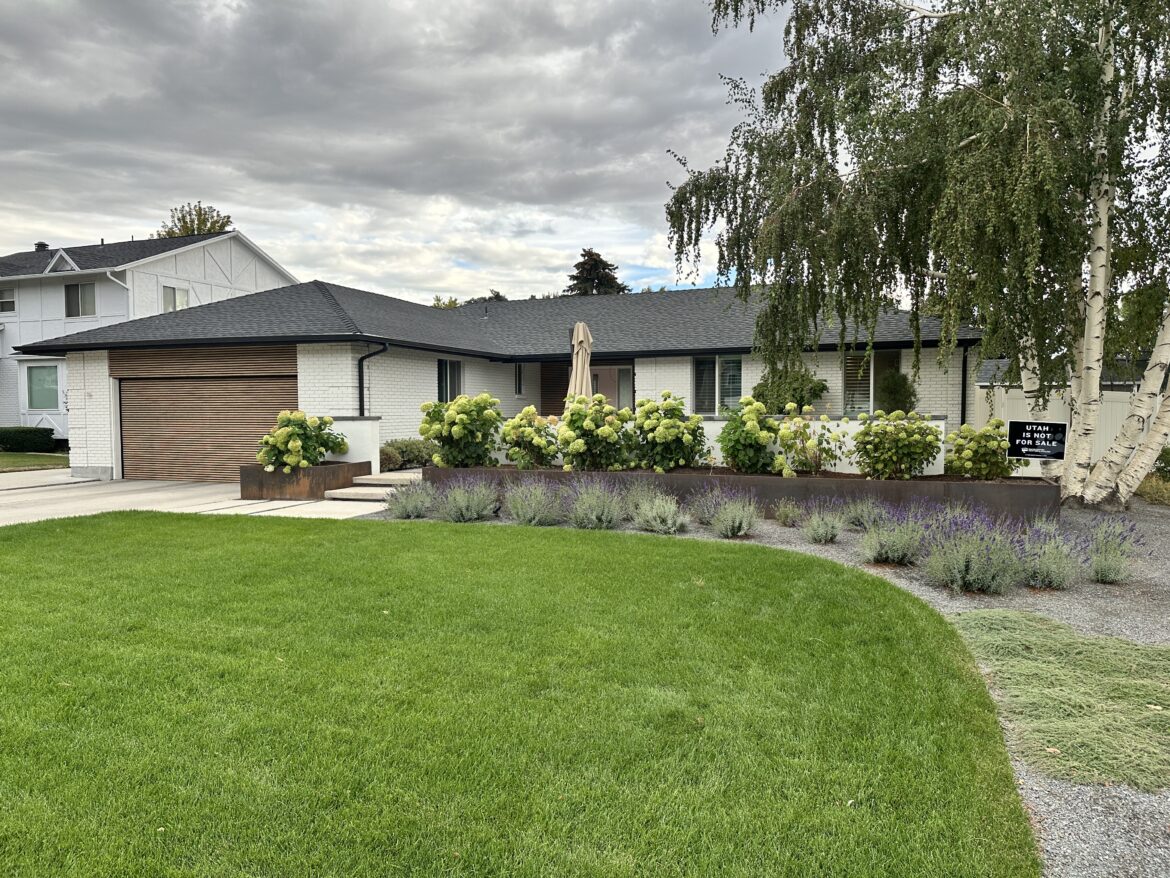 Why does my neighbor’s yard look better even though I hired a landscaping company?